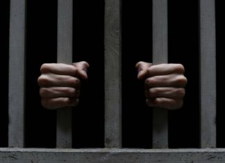 MAHKUMLARA BİTKİSEL YEMEK HAKKI