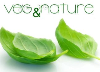 <!–:tr–>TVD, Gönüllü Grafiker, Muhabir ve Yazarlar arıyor<!–:–>