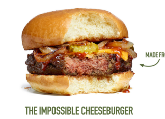 Dünya Devleri Vegan Dünyaya Hazırlanıyor!