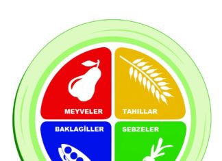 Dört Yeni Besin Grubu
