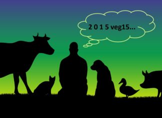 2015’den Akılda Kalanlar: VEG15