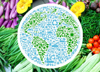 Yeni çalışma: 8.1 milyon insanın hayatını Veganlık kurtaracak!