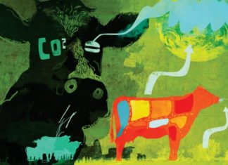 Gerçekten Çevreci misin? Et Tüketerek Çevre Korunamaz