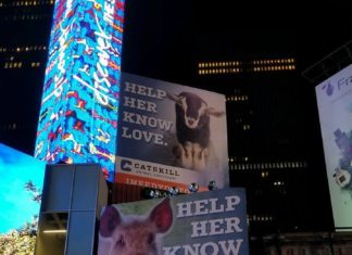 Times Meydanı’nda Vegan Reklam