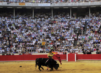 Venezuelalı Belediye Başkanı Boğa Güreşlerini Yasakladı