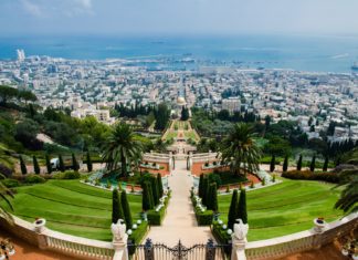 İsrail Meclis Üyeleri Hayvan Haklarını Korumak için Bir Günlüğüne Vegan Oldu