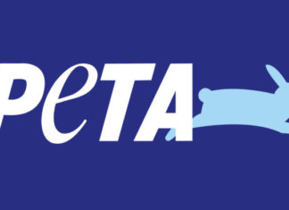 Ücretsiz Uygulama ile Hayvanları Kurtarabilirsiniz