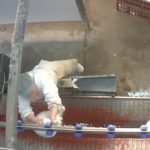 Dolce & Gabanna İşkence Gören Tavşanların Kürklerini Satmakla Suçlanıyor