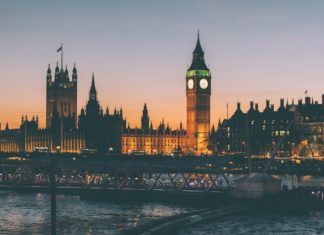 İngiltere Vahşi Hayvanların Sirklerde Kullanılmasını Yasaklıyor