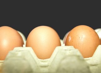 Yumurta Şirketi CEO’su: Gelecek Yumurtasız