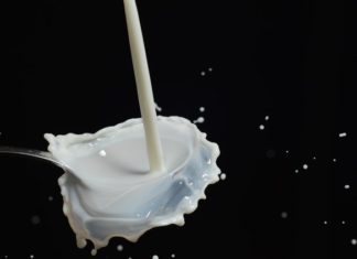 Süt ve Parkinson Hastalığı Arasında Bir İlişki Mi Var?