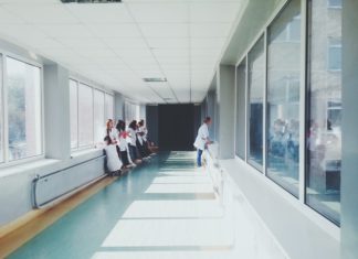 Tenesse Üniversitesi Canlı Hayvanlar Üzerinde Pratik Yapmayı Kaldırdı