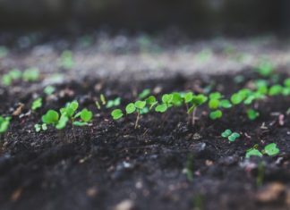 Araştırmacılar B12 Vitamini ile İlgili Büyük Bir Gelişmeye İmza Attı