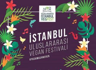 TVD FESTİVAL KONSERİ DEĞİŞİKLİK DUYURUSU