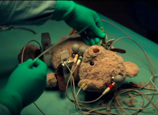 Hayvan Deneylerinin Caniliğini Bir De Böyle İzleyin