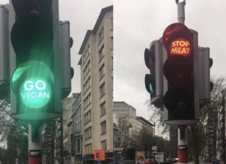 Belçika’da Trafik Lambalarındaki Anlamlı Mesaj