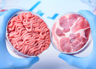 Gıdada Devrim? “Temiz” Et