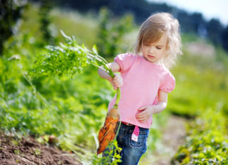 Vegan beslenme çocuklarda da mümkün ve sağlıklı
