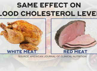 Hayvan bedeninin beyazı daha sağlıklı değil