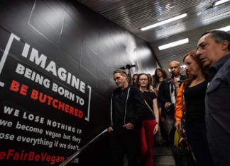 ‘Ödün vermeyen vegan mesajıyla’ Joaquin Phoenix