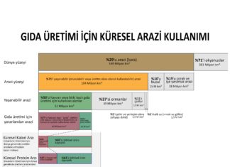 Ekonomik verilerden çıkan sonuç çok net: #VeganOl! (yeni çalışma)