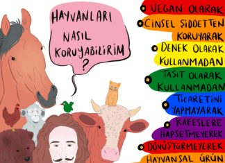 Vegan artivizm zamanı – 3 / #SıfırAtlıFayton