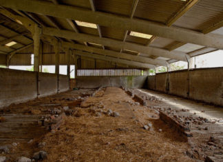 Hayvansal süt sektörü ölüyor mu?