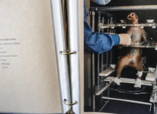 Hayvan deneylerine karşı ABD’de yeni tasarı Hayvan deneyleri- WAM