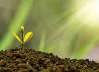 İklim krizinin gerçek bedeli “et” fiyatlarına eklenseydi?