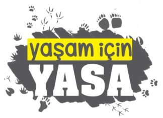 Yaşam İçin Yasa İnisiyatifi: Basın Bülteni