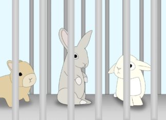 Çin bazı kozmetik ürünlerde hayvan deneyleri zorunluluğunu kaldırıyor