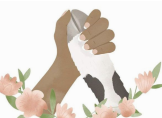 Hayvan yemek, et ve feminizm üzerine: “O kadar da kötü değil” (mi gerçekten?)