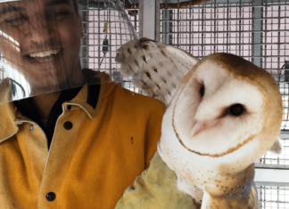 Deney laboratuvarlarında işkence gören baykuş ve sıçanlar