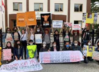 Faili değil, hayvanların haklarını koru!