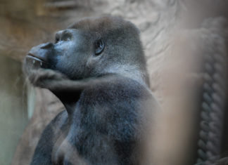 Katliam Yasasına Hayır demek için Ankara’ya!