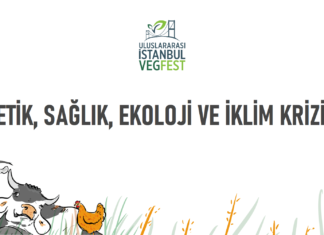 Kitlesel yok oluşun başlangıcına 6 yıl 182 gün ve 4 saat