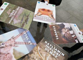 Av katliamına karşı dava açtık, açılan davalara müdahillik başvurusu yaptık