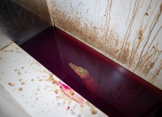 Hermès’e global çağrı: Timsah derisine son ver