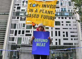 TED, iklim zirvesinde %100 vegan menü ile alkışları toplarken COP26 sınıfta kaldı