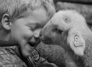 Yeni araştırma: ABD’li çocukların çoğu hayvanları yemeyi doğru bulmuyor