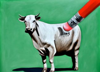 Veganizm Farkındalık Araştırması 2021