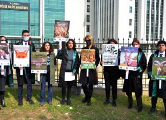 Adana’daki av karşıtı davamızın duruşması görüldü