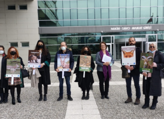 Bolu’daki kızıl geyik avına karşı açtığımız davanın duruşması görüldü