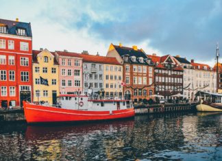 Danimarka hükümeti, bitki bazlı gıdalara 100 milyon dolarlık yatırım için özel fon başlattı