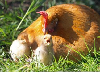 Anneler Günü’nde diğer anneleri düşündünüz mü?