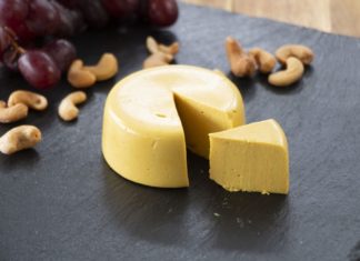 Vegan peynir yasakları ile ilgili bilgi karmaşasını gidermek için bilgilendirme metni