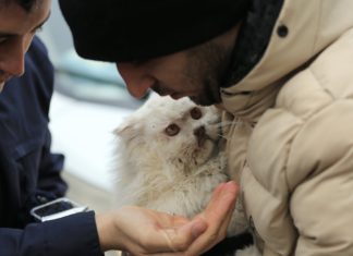 Depremzede insanlara ve hayvanlara destek listesi