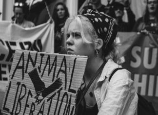 Veganlık Neden Feminist Bir Meseledir?