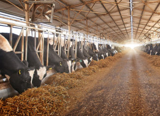 “Çiftlikten Sofralara Sütaş’ın Harika Dünyası” Reklamının Yayından Kaldırılması İçin Ticaret Bakanlığı Reklam Kurulu Başkanlığı’na Başvuruda Bulunduk