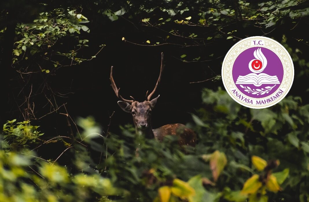 Av turizmi ve avcılık ihalelerine karşı Anayasa Mahkemesi başvurularımız